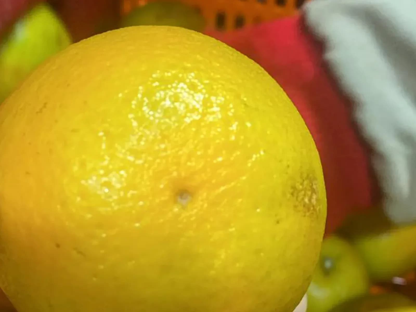 Fresh orange undergoing handling and visual inspection.