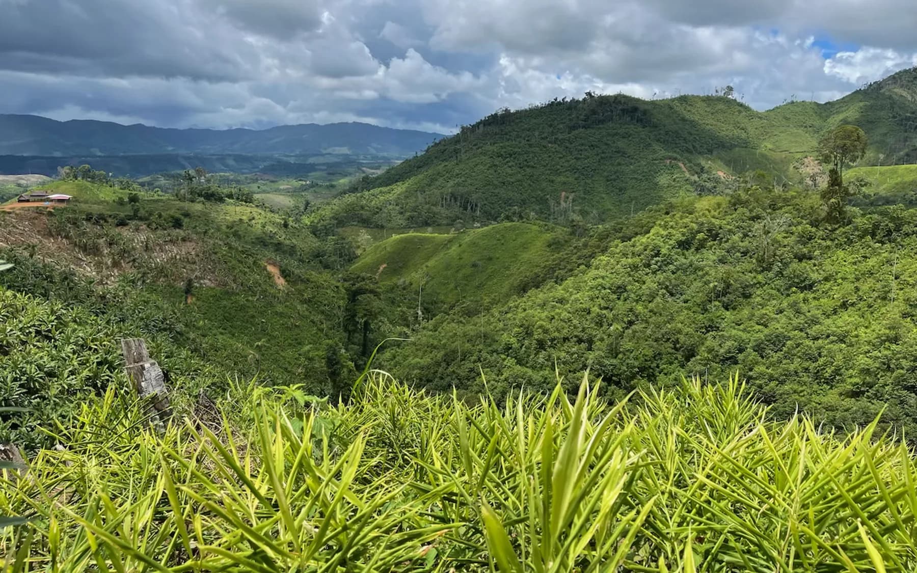 Cultivated hillsides in Peru's agricultural region.