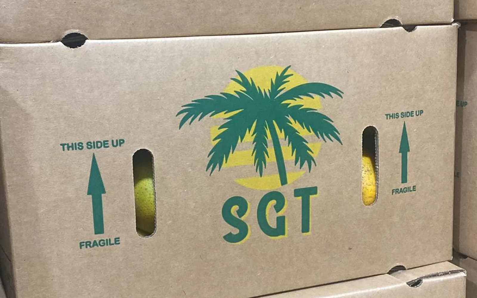 SGT-branded cartons prepared for commercial shipment.